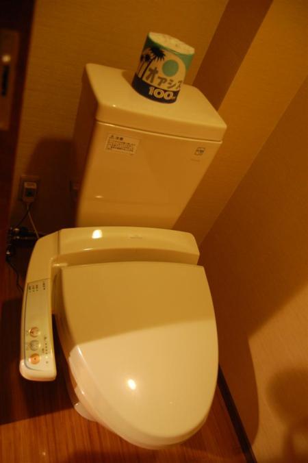 Heated electronic toilet bowl