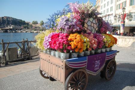 A Flower Cart